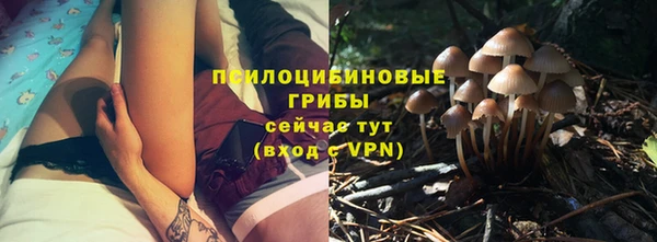бутират Козловка