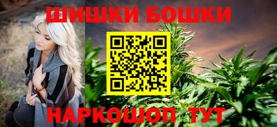 шишки Кинель