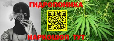 шишки Кинель