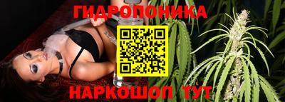 МДПВ Кимры