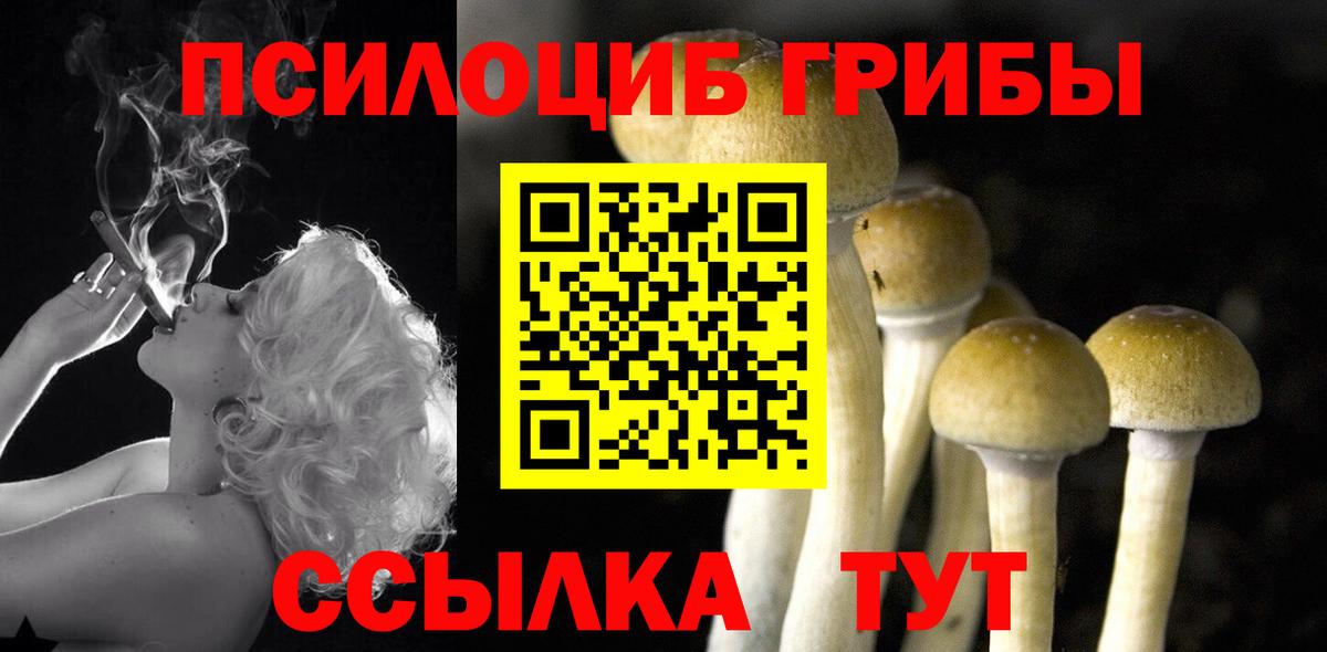 Галлюциногенные грибы прущие грибы  Вход с VPN  Менделеевск 