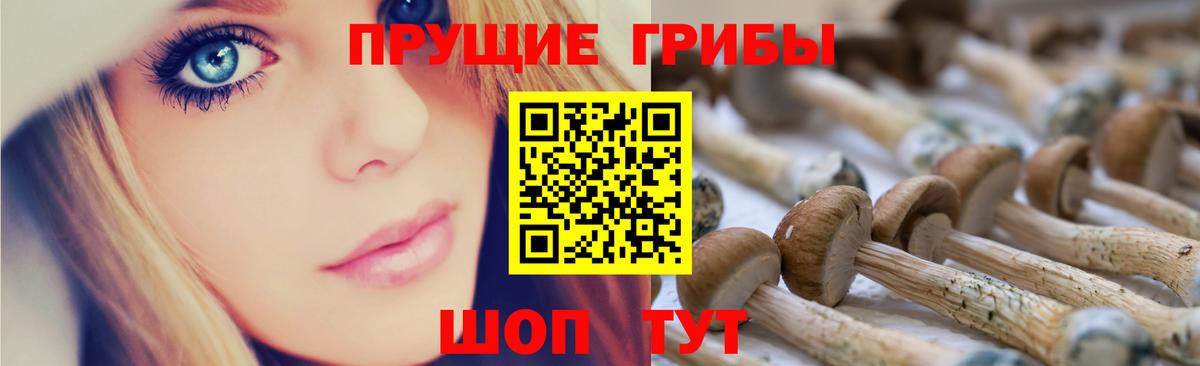 Галлюциногенные грибы мухоморы Менделеевск